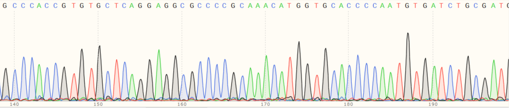 Sanger Sequencing - Human SQSTM1 (p62) knockout HEK-293T cell line (AB255343), expandable thumbnail