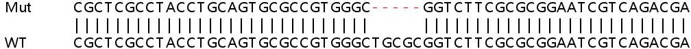 Sanger Sequencing - Human SRD5A1 knockout HeLa cell line (AB264932)