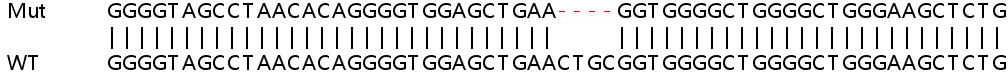 Sanger Sequencing - Human SREBF1 (SREBP1) knockout HeLa cell line (AB265879), expandable thumbnail