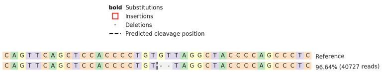 Next Generation Sequencing - Human SREBF1 (SREBP1) knockout HeLa cell line (AB277151)