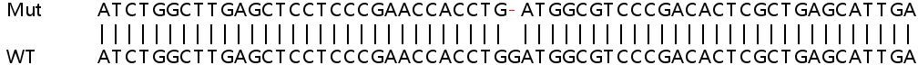 Sanger Sequencing - Human SRP68 knockout HEK-293T cell lysate (AB263363)