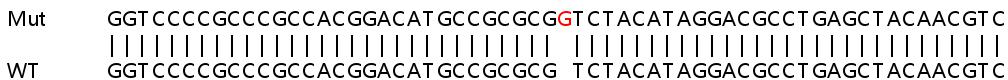 Sanger Sequencing - Human SRSF6 (SR protein repeat) knockout HEK-293T cell lysate (AB258210), expandable thumbnail
