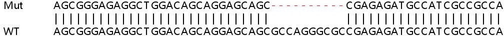 Sanger Sequencing - Human SSR4 knockout HEK-293T cell line (AB266736)