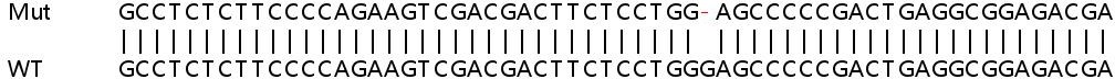 Sanger Sequencing - Human SSSCA1 knockout HEK-293T cell line (AB266088), expandable thumbnail