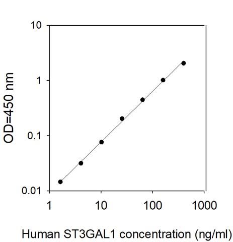 Sandwich ELISA - Human ST3Gal1 ELISA Kit (AB314355)