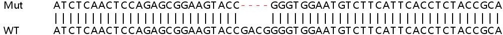 Sanger Sequencing - Human STAMBP (AMSH) knockout HeLa cell lysate (AB258213), expandable thumbnail