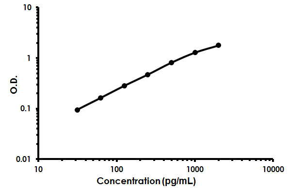 Sandwich ELISA - Human Stanniocalcin 1 / STC ELISA Kit (STC1) (AB213829)