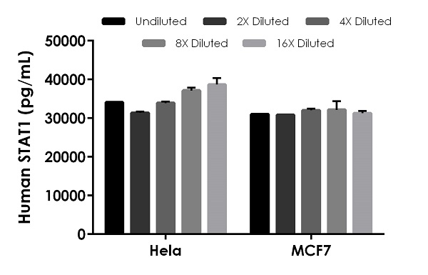 Sandwich ELISA - Human STAT1 ELISA Kit (AB253222), expandable thumbnail