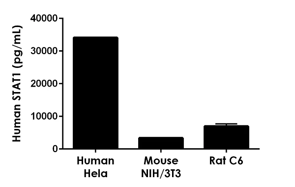 Sandwich ELISA - Human STAT1 ELISA Kit (AB253222)