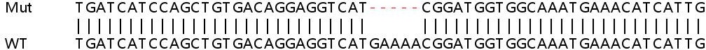Sanger Sequencing - Human STAT1 knockout HeLa cell lysate (AB263837), expandable thumbnail