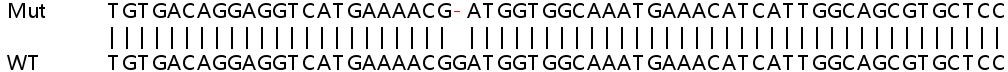 Sanger Sequencing - Human STAT1 knockout HeLa cell lysate (AB263837), expandable thumbnail