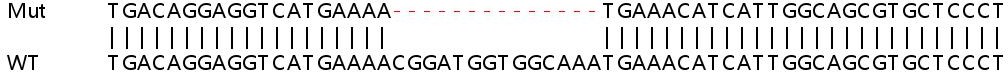 Sanger Sequencing - Human STAT1 knockout HeLa cell lysate (AB263837), expandable thumbnail