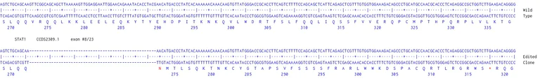 Next Generation Sequencing - Human STAT1 knockout MCF7 cell line (AB277900)
