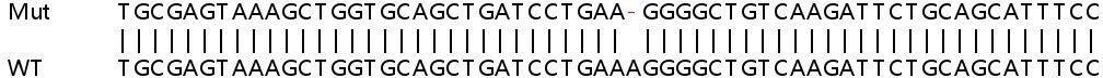 Sanger Sequencing - Human STAT2 knockout A549 cell lysate (AB257183), expandable thumbnail