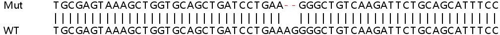 Sanger Sequencing - Human STAT2 knockout A549 cell lysate (AB257183), expandable thumbnail