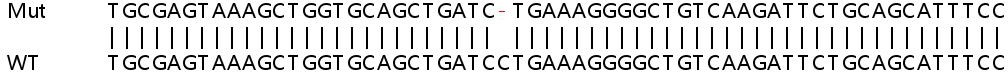Sanger Sequencing - Human STAT2 knockout A549 cell lysate (AB257185), expandable thumbnail
