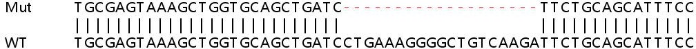 Sanger Sequencing - Human STAT2 knockout A549 cell lysate (AB257185), expandable thumbnail