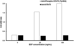 In-Cell ELISA - Human STAT5 (Tyr694) In-Cell ELISA Kit (AB126429)