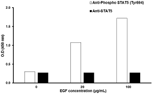 In-Cell ELISA - Human STAT5 (Tyr694) In-Cell ELISA Kit (AB126429)