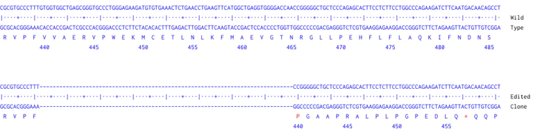 Next Generation Sequencing - Human STAT6 knockout A549 cell line (AB286716)