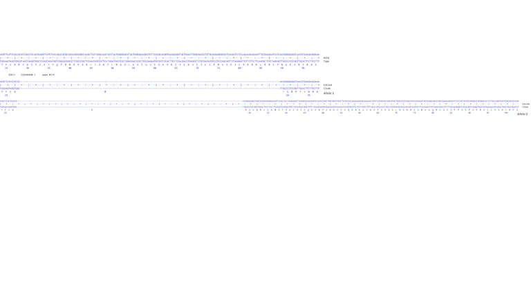 Next Generation Sequencing - Human STK11 knockout HCT116 cell line (AB286626)