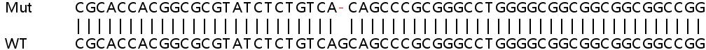 Human STK17A knockout HeLa cell line