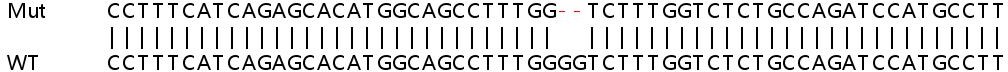 Sanger Sequencing - Human STT3A knockout HEK-293T cell lysate (AB259164), expandable thumbnail