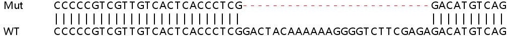 Sanger Sequencing - Human STX10 knockout HEK-293T cell line (AB266829)