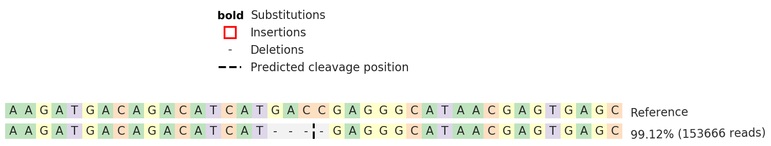 Human STXBP1 knockout SW480 cell line