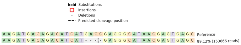 Next Generation Sequencing - Human STXBP1 knockout SW480 cell line (AB277169)