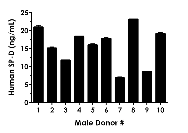 Sandwich ELISA - Human Surfactant protein D / SP-D ELISA Kit (AB239431)