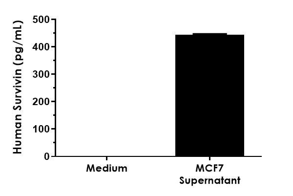 Sandwich ELISA - Human Survivin ELISA Kit (AB183361)