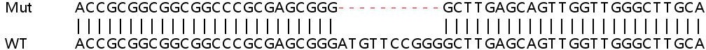 Sanger Sequencing - Human SYAP1 knockout HEK-293T cell lysate (AB263377), expandable thumbnail