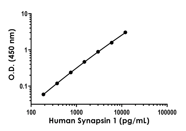 Sandwich ELISA - Human Synapsin I ELISA Kit (AB308538)