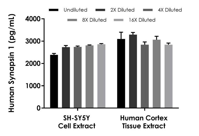Sandwich ELISA - Human Synapsin I ELISA Kit (AB308538)