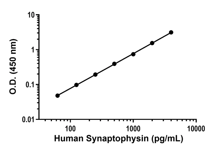 Sandwich ELISA - Human Synaptophysin ELISA Kit (AB315042)