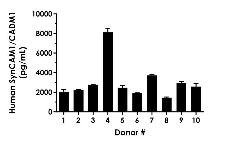Sandwich ELISA - Human SynCAM/CADM1 ELISA Kit (AB316889)