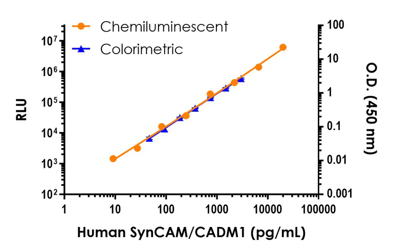 Sandwich ELISA - Human SynCAM/CADM1 ELISA Kit, Chemiluminescent (AB326741)