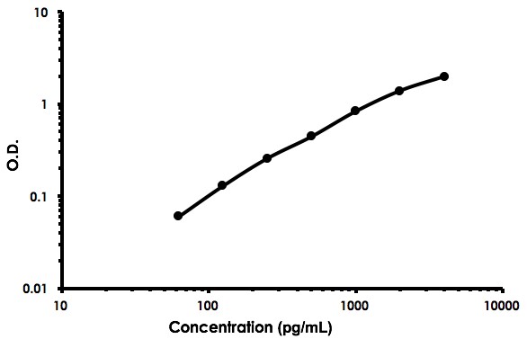 Sandwich ELISA - Human Syndecan-4 ELISA Kit (SDC4) (AB213830)