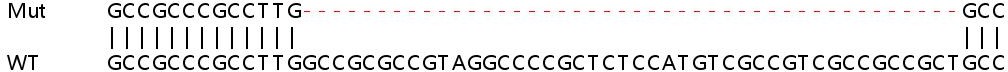 Sanger Sequencing - Human SYNGR2 (Synaptogyrin 2) knockout HEK-293T cell lysate (AB263378)