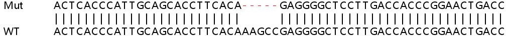 Sanger Sequencing - Human SYP (Synaptophysin) knockout HEK-293T cell lysate (AB263862), expandable thumbnail