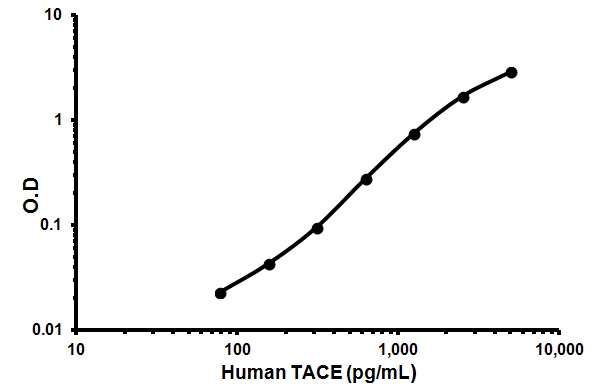 Sandwich ELISA - Human TACE ELISA Kit (ADAM17) (AB113321)
