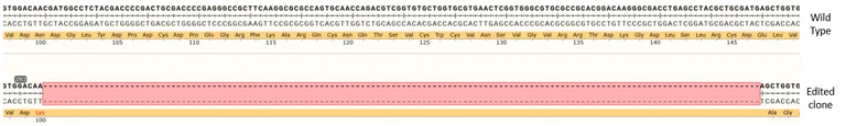 Next Generation Sequencing - Human TACSTD2 knockout MCF7 cell line (AB286330)