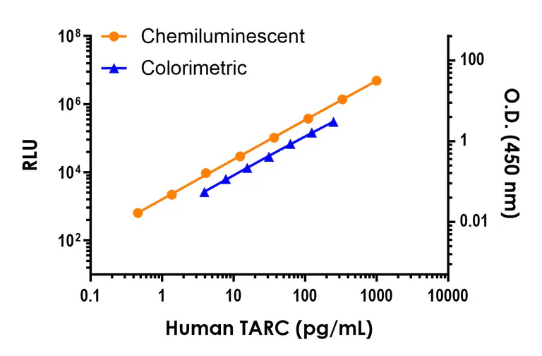 Sandwich ELISA - Human TARC (CCL17) ELISA Kit, Chemiluminescent (AB325909)