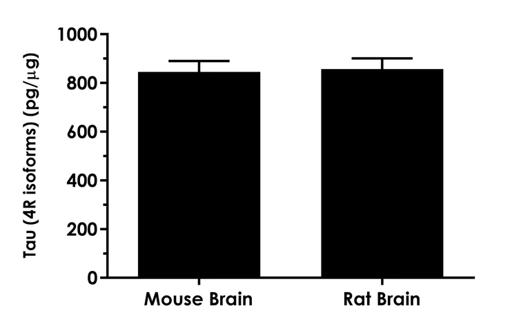 Sandwich ELISA - Human Tau (4R isoforms) ELISA Kit - Intracellular (AB303750)