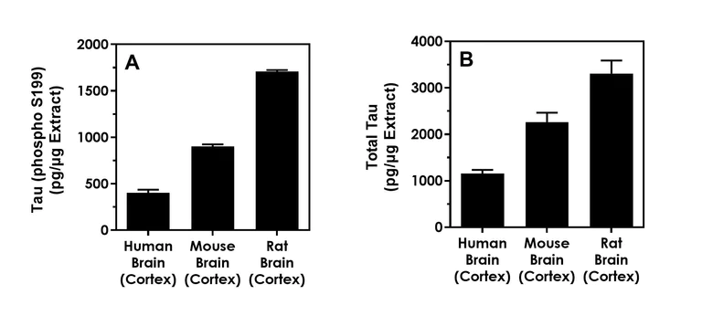 Sandwich ELISA - Human Tau (phospho S199) ELISA Kit- Intracellular (AB323735)