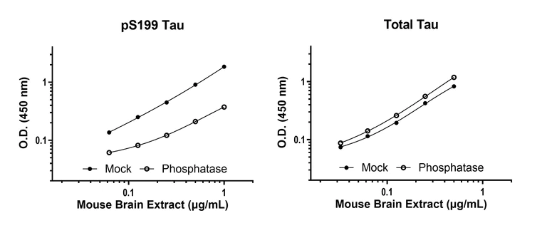 Sandwich ELISA - Human Tau (phospho S199) ELISA Kit- Intracellular (AB323735)