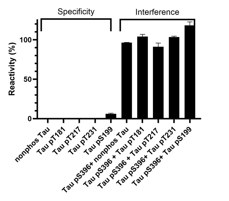 Sandwich ELISA - Human Tau (phospho S396) ELISA Kit- Extracellular (AB324328)