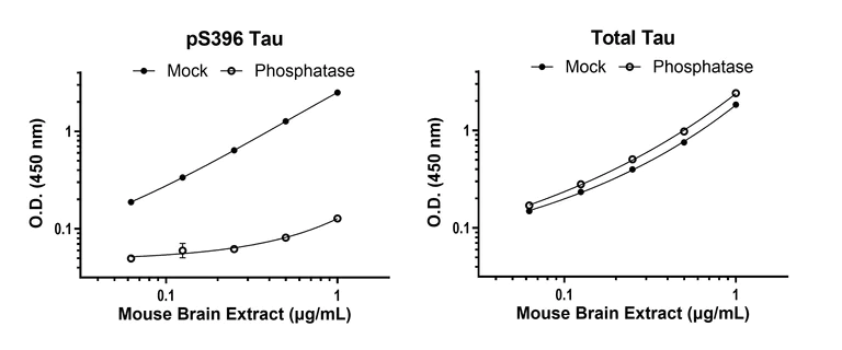 Sandwich ELISA - Human Tau (phospho S396) ELISA Kit- Intracellular (AB324329)