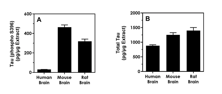 Sandwich ELISA - Human Tau (phospho S396) ELISA Kit- Intracellular (AB324329)